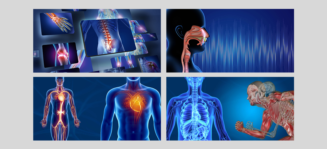 Body of Ageing - Graphic Design UI/UX Web Design Prototyping Wireframing and Visual Design