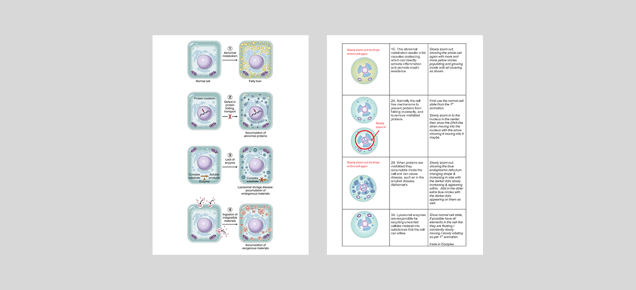 Cell animation - Graphics & Illustrations Visual Design Storyboarding Animation