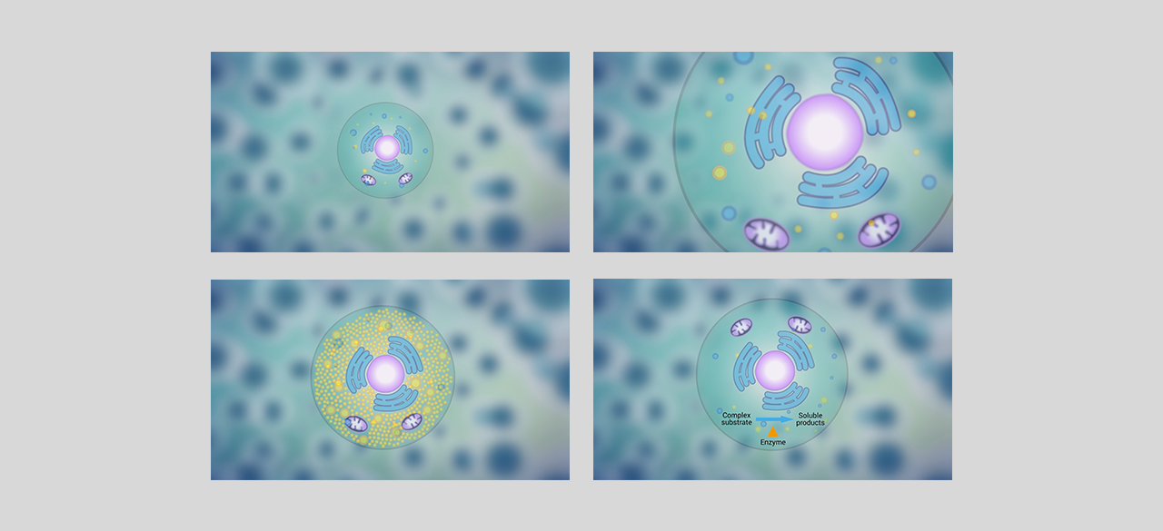 Cell animation - Graphics & Illustrations Visual Design Storyboarding Animation