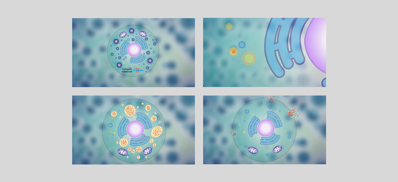 Cell animation - Graphics & Illustrations Visual Design Storyboarding Animation